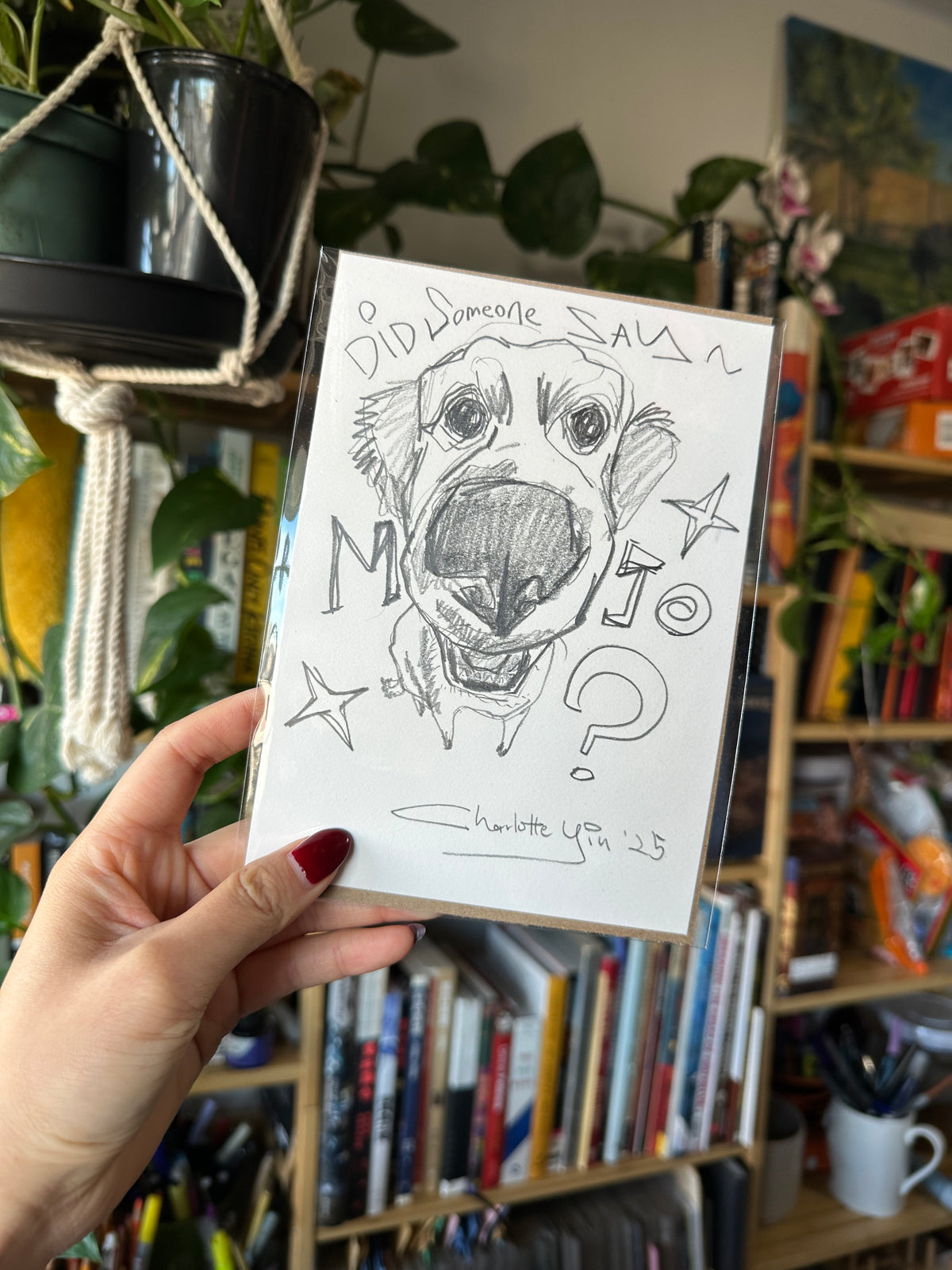 Custom Pet Portrait Drawing