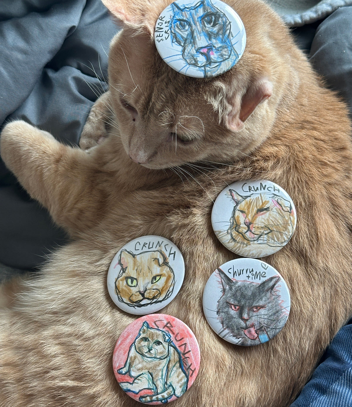 Orange tabby cat resting with five hand-drawn cat portrait buttons arranged on its fur
