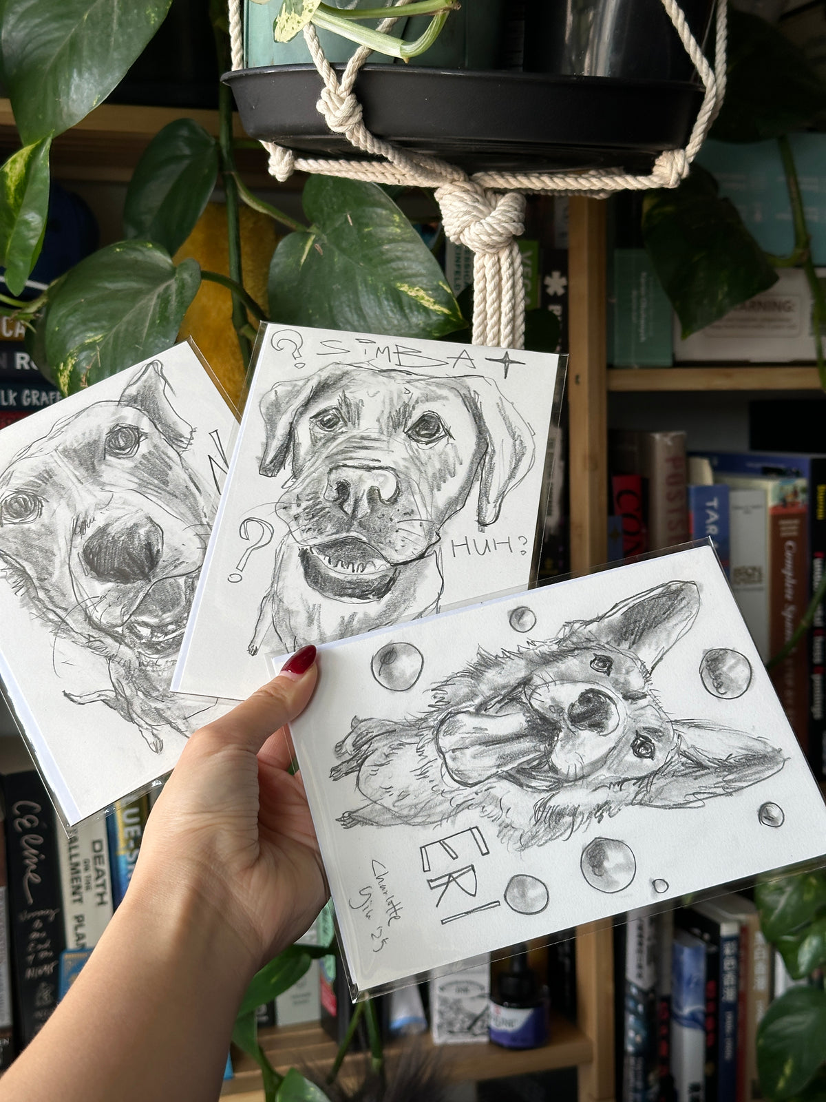 Custom Pet Portrait Drawing