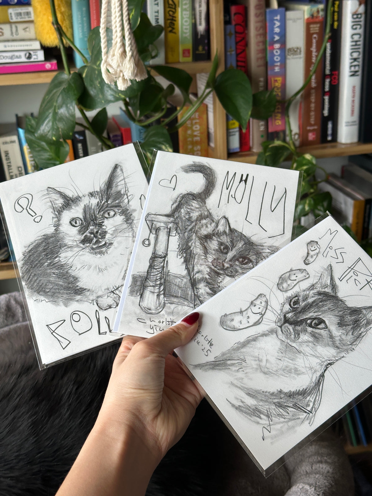 Custom Pet Portrait Drawing