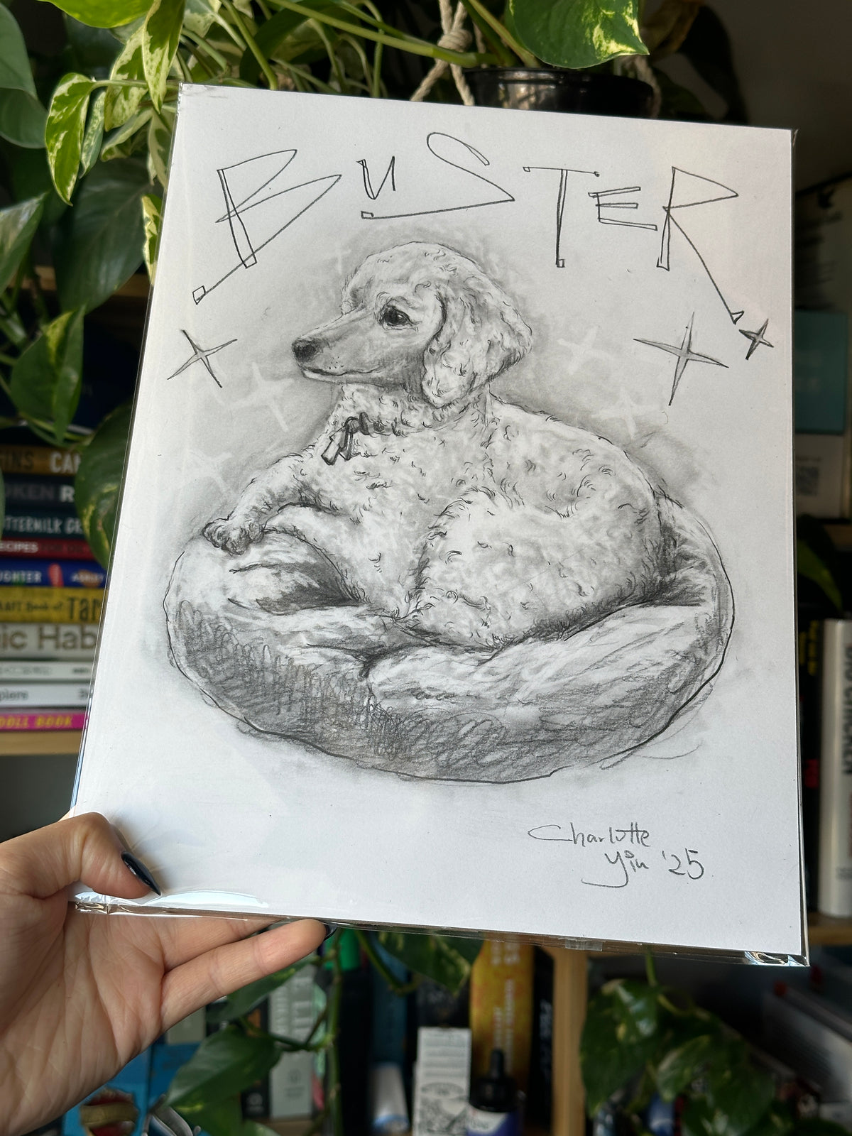 Custom Pet Portrait Drawing