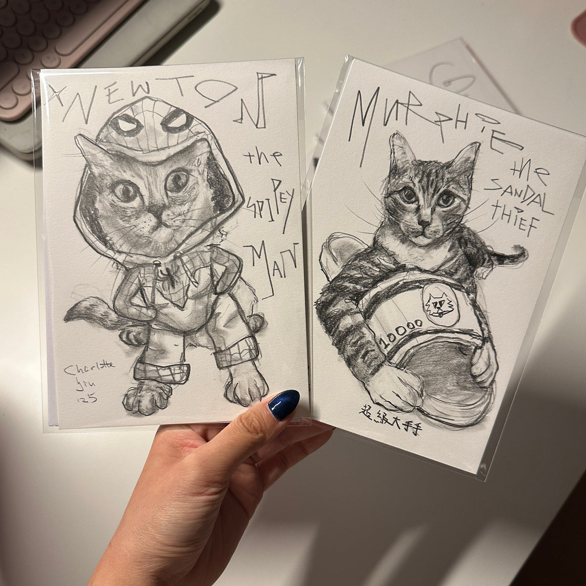 Custom Pet Portrait Drawing
