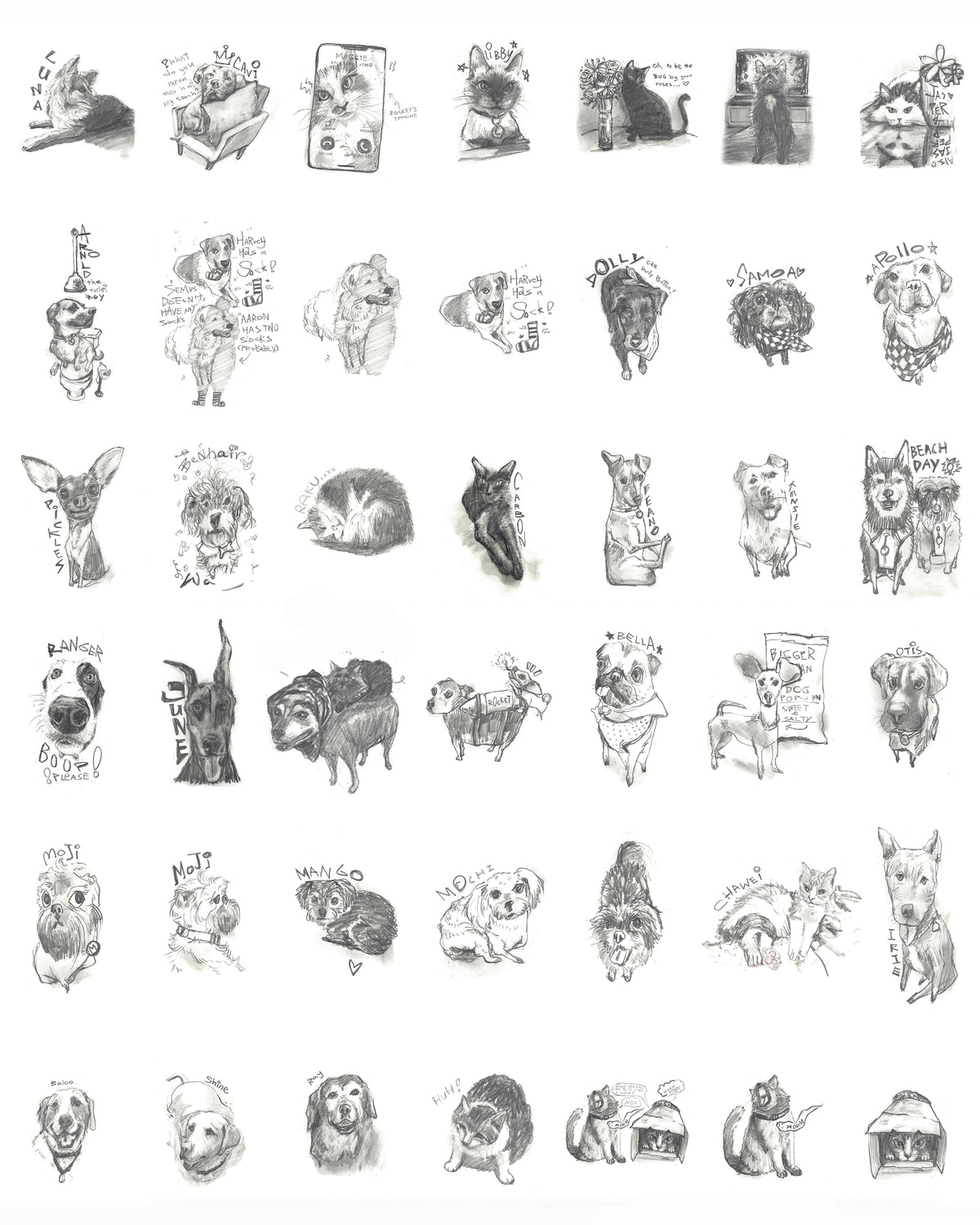 Custom Pet Portrait Drawing