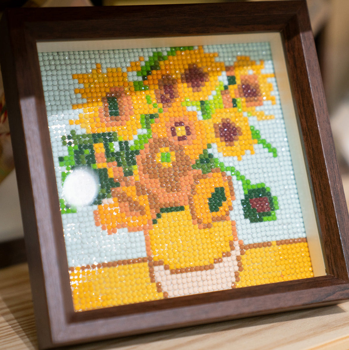 Tomato Craft Kits