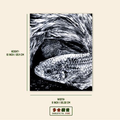Beta Fish Illustration Poster -Farewell Collection
