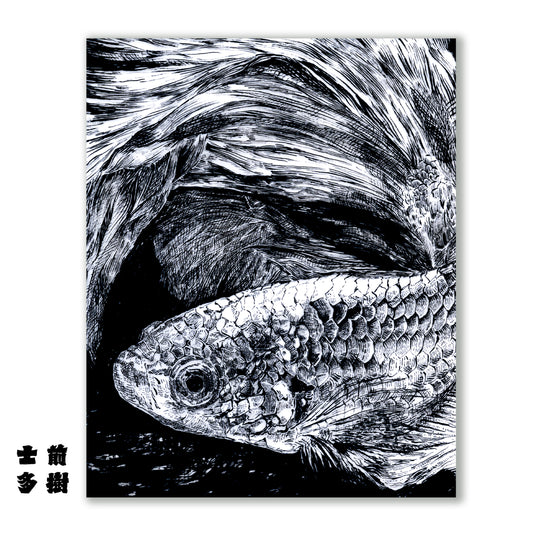 Beta Fish Illustration Poster -Farewell Collection