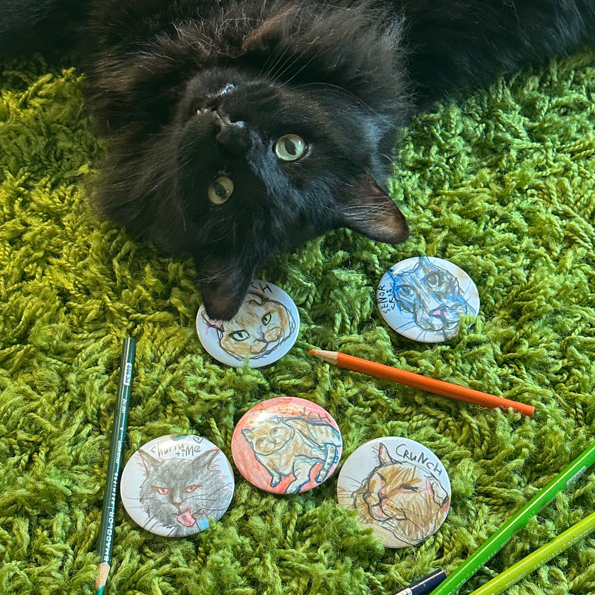 Black cat lying beside five hand-drawn cat portrait buttons and colored pencils on a green rug
