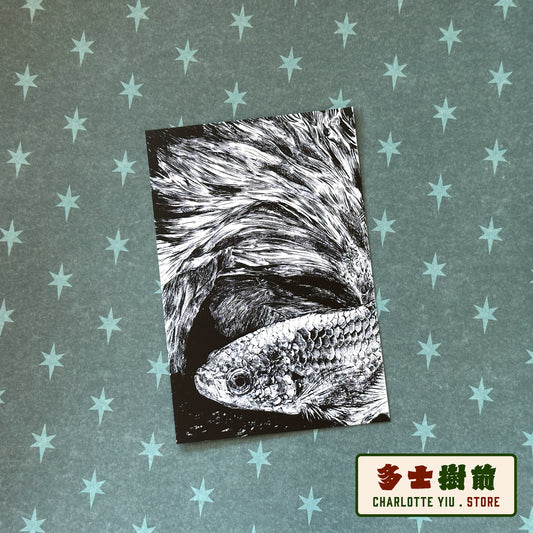 Beta Fish Postcard -Farewell Collection