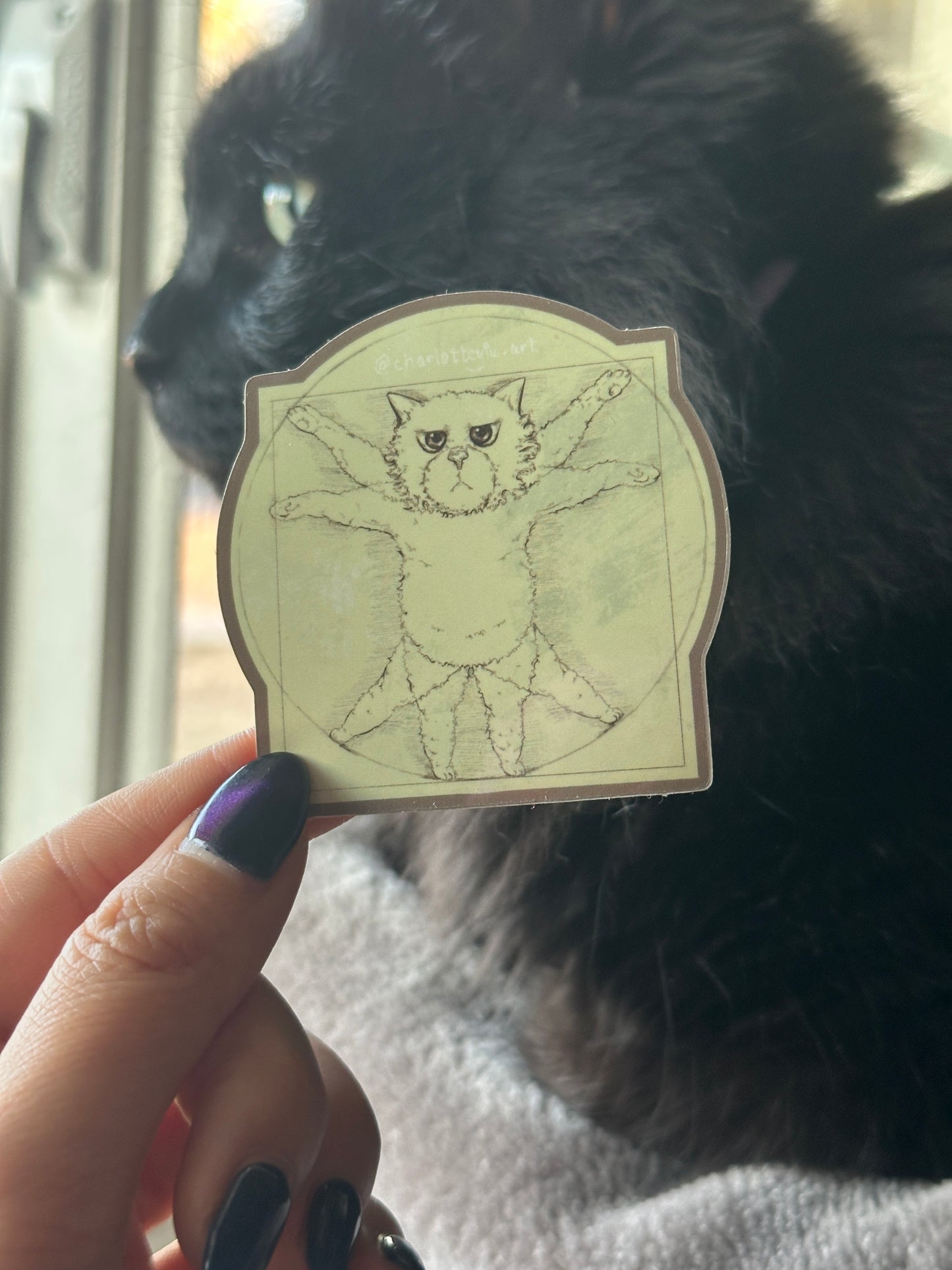 Vitruvian Cat Sticker