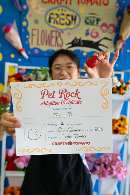 Craft Club Tuesday || Adopt a Pet Rock X My Little Pony Fan Event