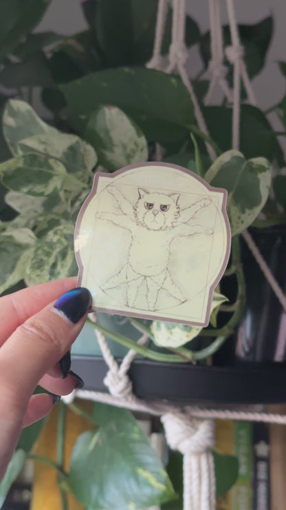 Vitruvian Cat Sticker