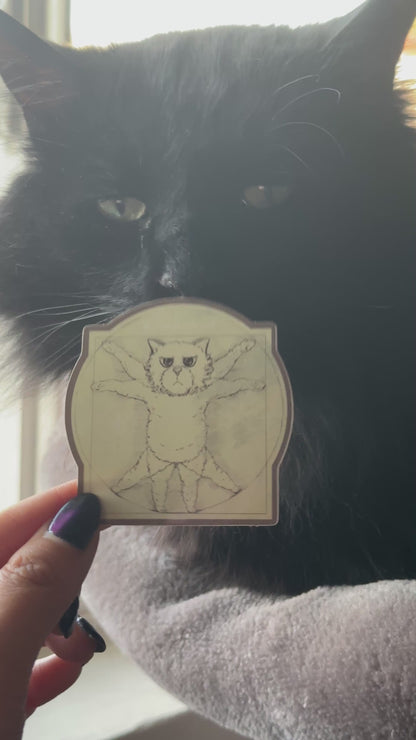 Vitruvian Cat Sticker