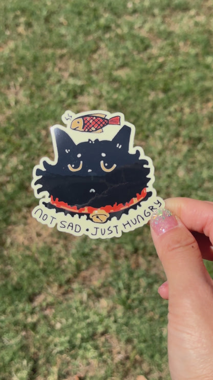 Hangry Cat Sticker